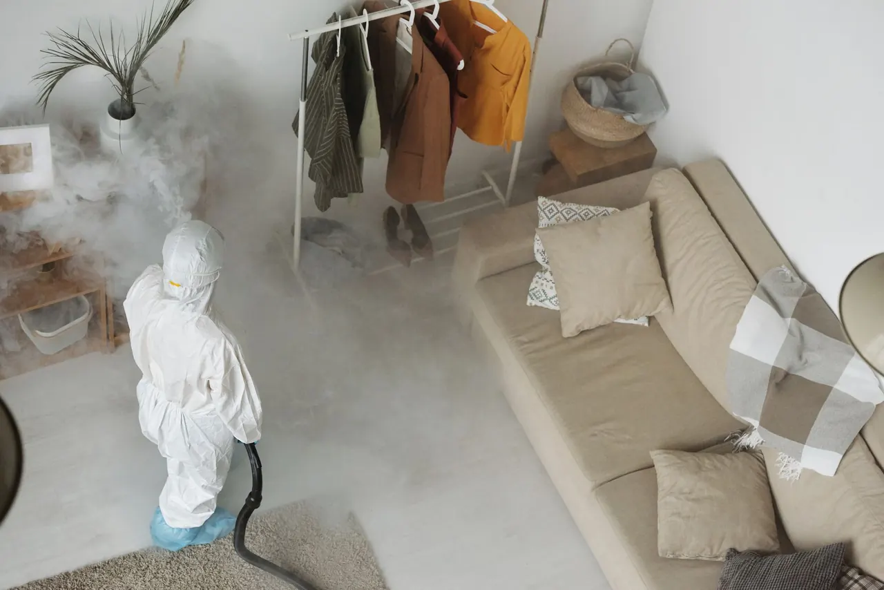Pest Control in Emerald Lakes FL